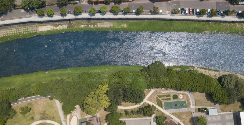 國旅桃園旺  首周創7,000萬觀光效益  一日遊搭配賞屋成新寵