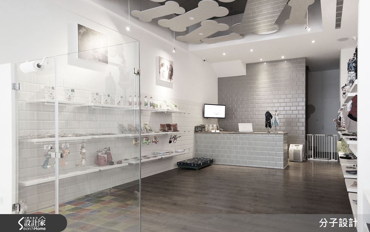 狗寶貝開心玩！ 老屋變身超 Cute 純白寵物旅店