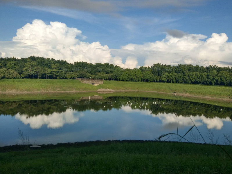 今日新竹科 明日屏農科
