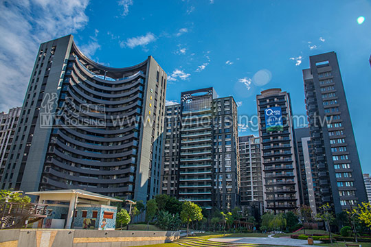 新泰五林量增價穩　去年第四季持平