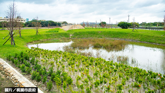 都市綠洲！蘆竹海湖運動森林公園完工