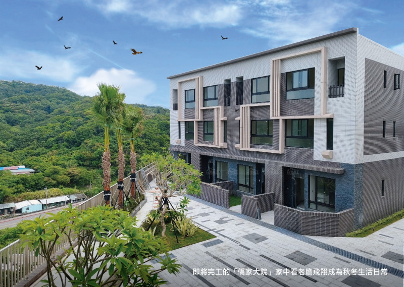 來我家看老鷹 欣賞綠意風景