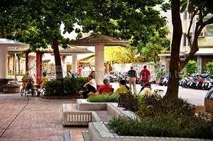 北市道路公園　105年採一條鞭管理