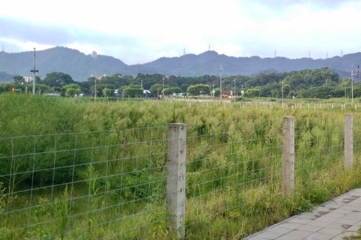 重劃特區巡禮！土城房市翻身就看金城重劃區