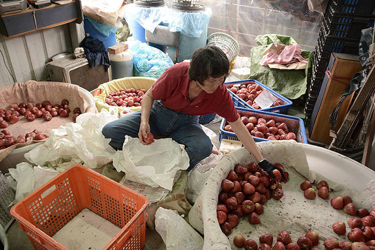 吃不起的未來恐成真？