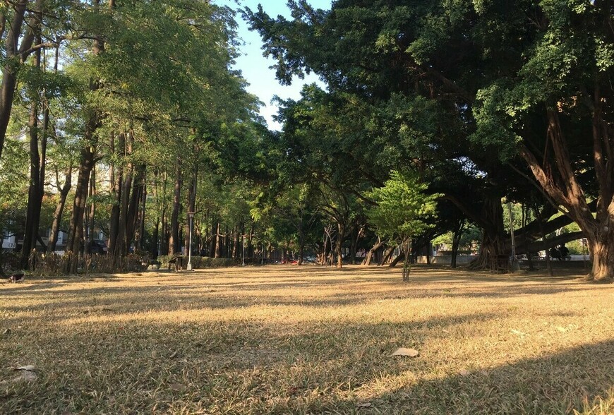 台南農地重劃標售熱況直擊！8筆土地標脫 安定區農地單價破2.1萬創新高