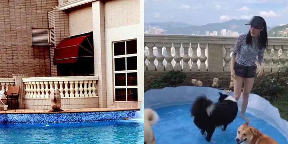 女星「20億豪宅」曝光 擁無敵海景和大泳池