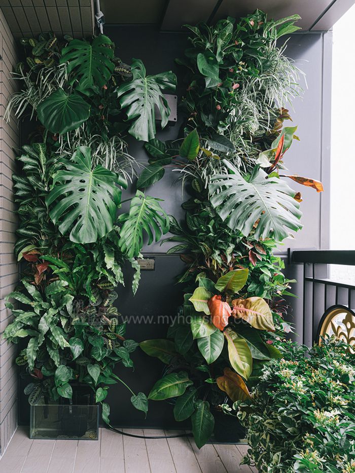 都市心靈綠洲 亮豔美感之邸