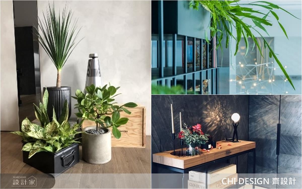 凌亂、單調OUT！植栽佈置 4 重點，打造層次感滿分的室內小綠洲