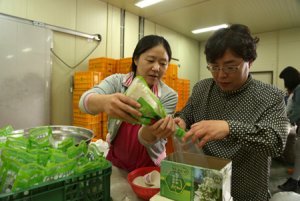 翻轉血汗、黑心形象；注重公平、公益及獲利：B型企業來了！