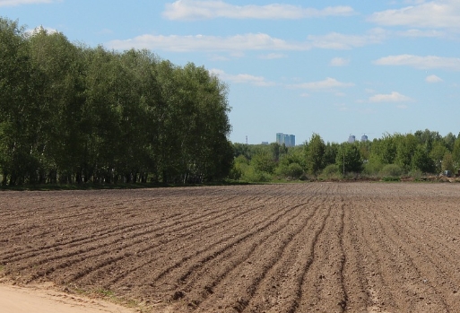 農地變更將終結！地政處：符合3條件可無痛變建地