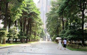 中市焦點西屯區搜尋量全台第一 低調北屯區最賣座