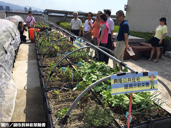 屋頂成開心農場　北市興隆公宅成果發表