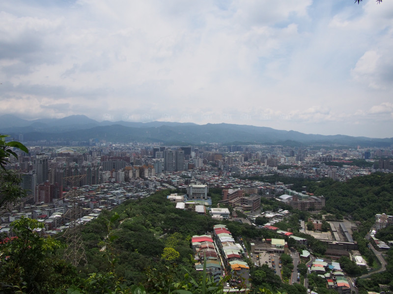 上半年移轉棟數創八年新高 台中高雄也嗨翻