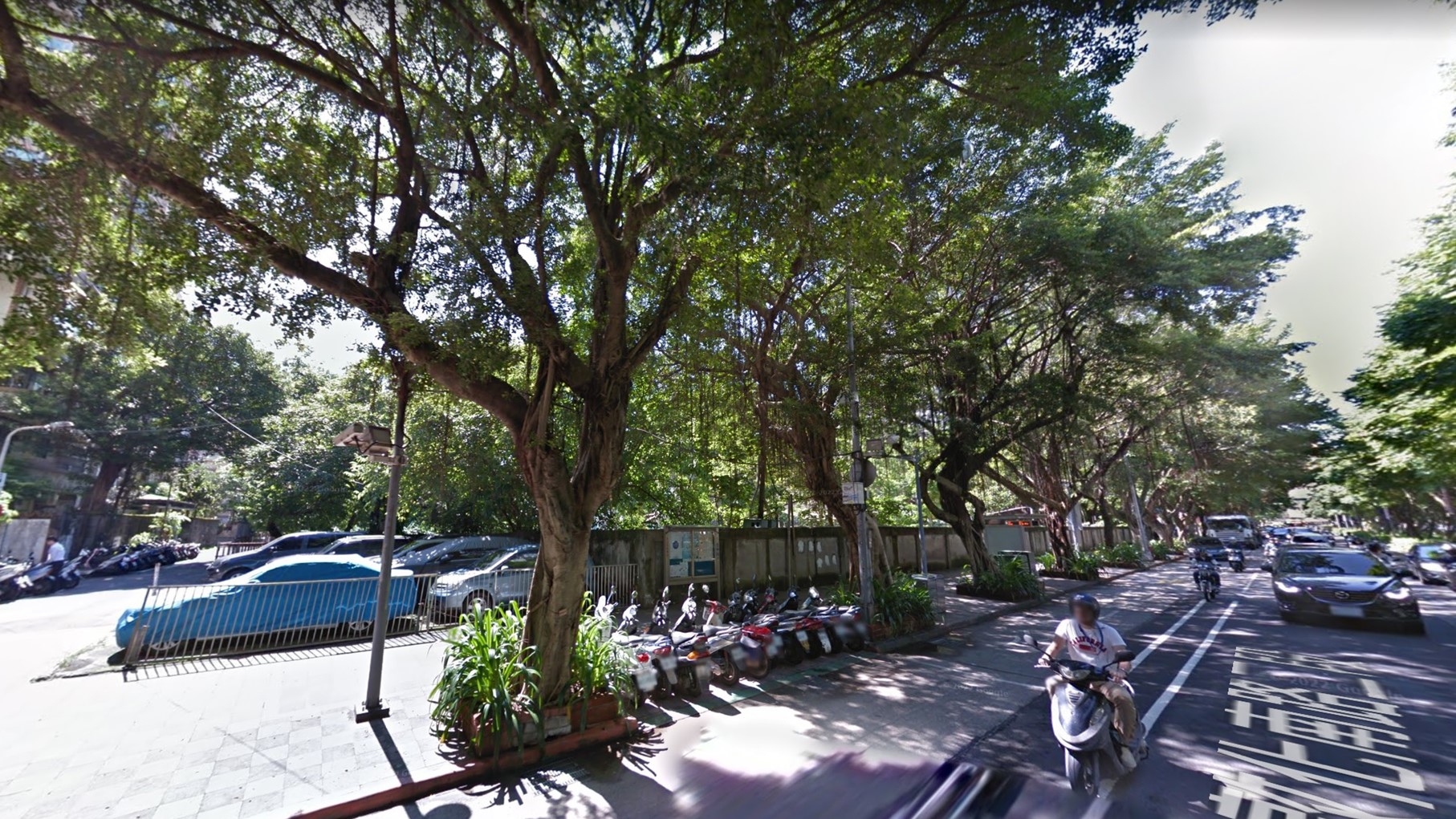 重磅建商61億卡位敦南2千坪地 專家讚擦亮金牌「會補漲」