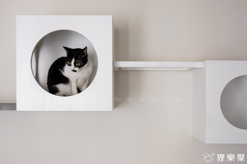 室內設計實例：極簡寵物宅