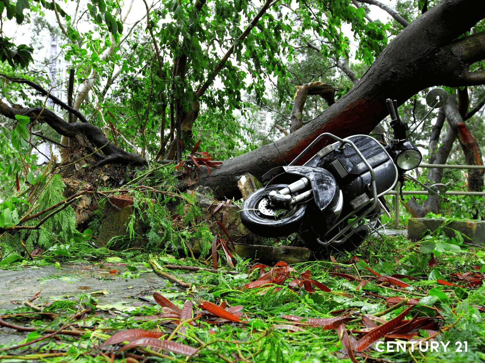 建議民眾在購屋前可先上國家災害防救科技中心的災害潛勢地圖網站查詢。