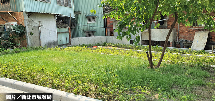 新北綠家園 板橋2處閒置地美化