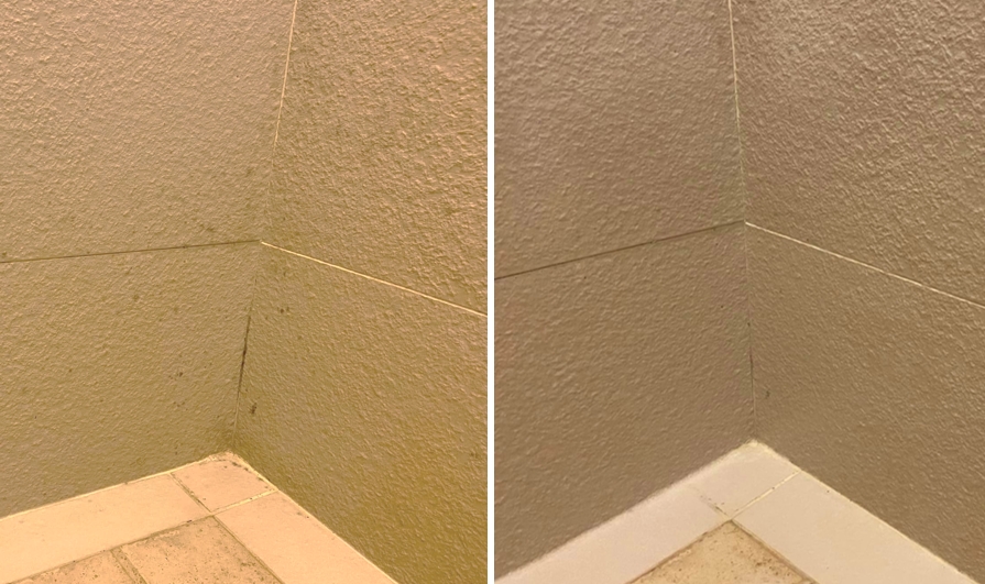 全聯除霉神物 人妻讚爆「噁垢全掉光」內行曝其他妙用：根本無敵