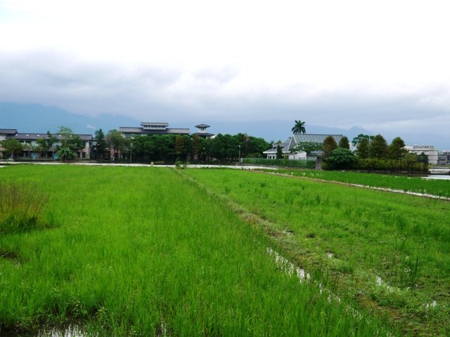 田園圓舞曲 潺中秧