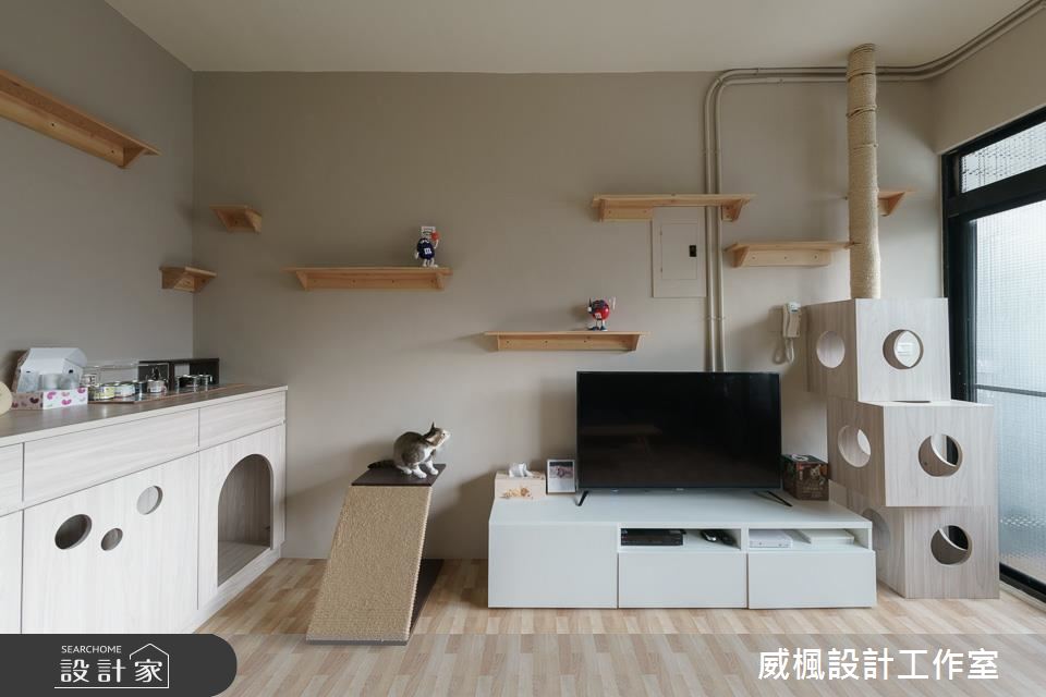 主人不在家、毛友來開趴！喵星人的指定款北歐風居家