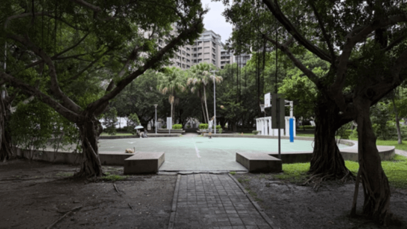溪頭公園綠地（攝影：樂屋特派員）