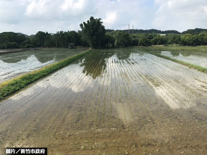 防疫期間有好康？ 8種土地可免稅