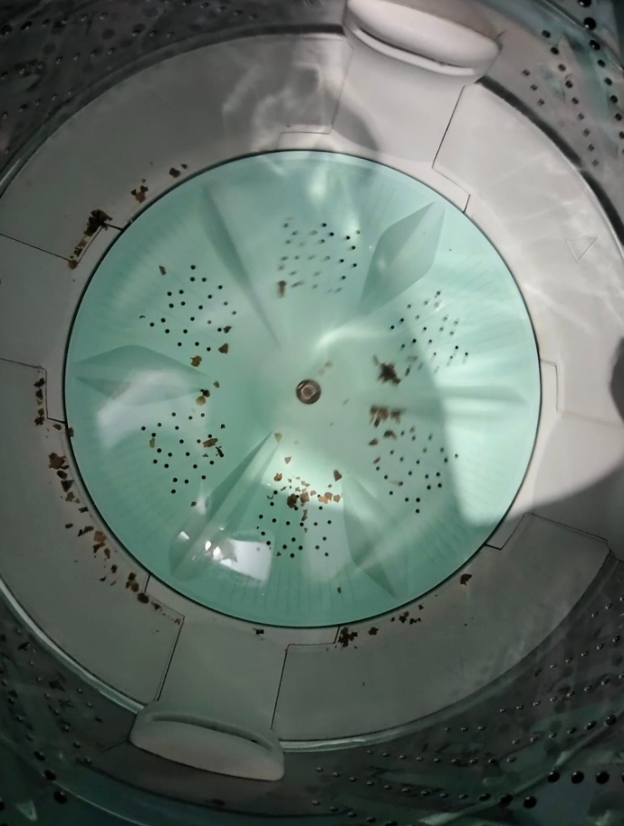 洗衣機沖出大量「海苔片」她洗2次弄不掉超崩潰 過來人一招秒解