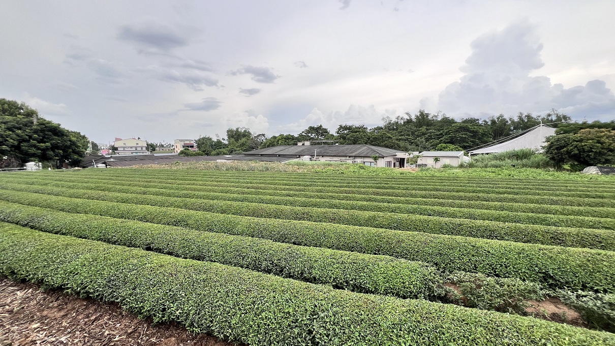 國土計畫法明年實施！賴正鎰曝「可建面積縮水一半」：農民更窮了
