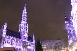 從戴奧辛毒食品變食安典範 比利時一次就學乖，台灣為什麼不能？