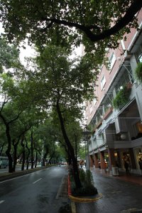 觀光商機大 中山北路將掀補漲行情