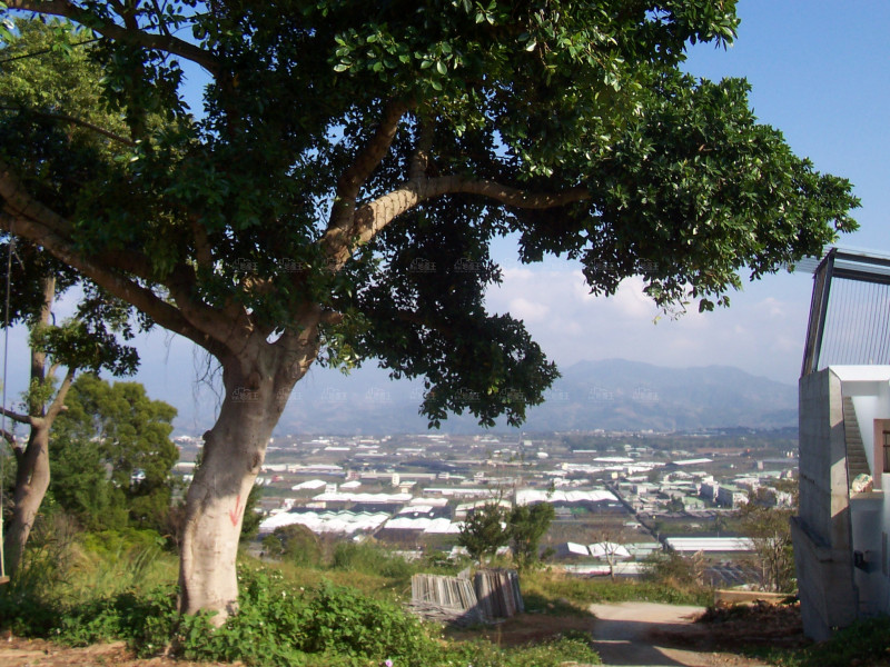 都更危老整合難 高雄進度緩慢