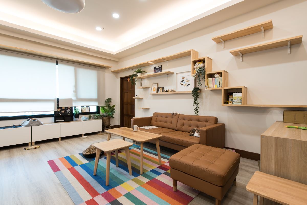 黃阿瑪的後宮生活2度搬家，沿用舊家具、訂製貓櫃、租屋也有親貓又寵奴才...