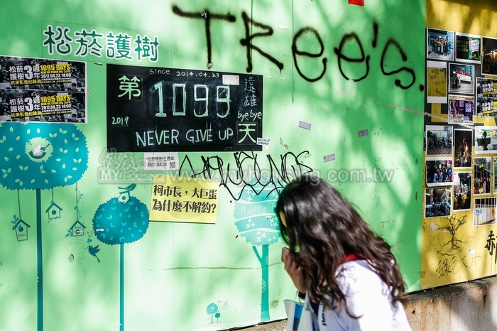 斷根作業符合SOP  台北市：與停工項目無涉