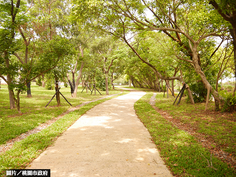 桃園崙坪文化地景園區 工程進度達9成