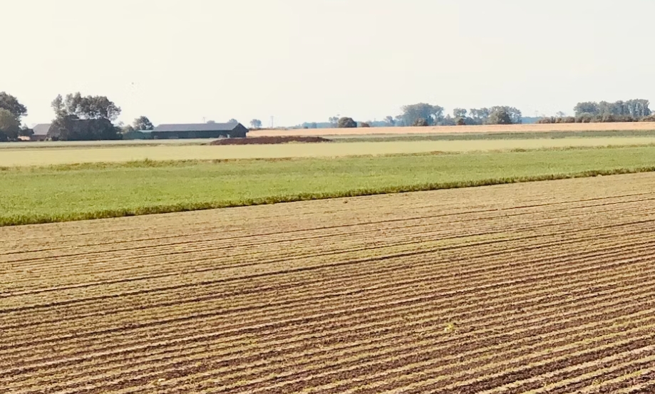 自家土地種菜「被追地價稅」？ 稅務局曝1情況：農用也無法免稅