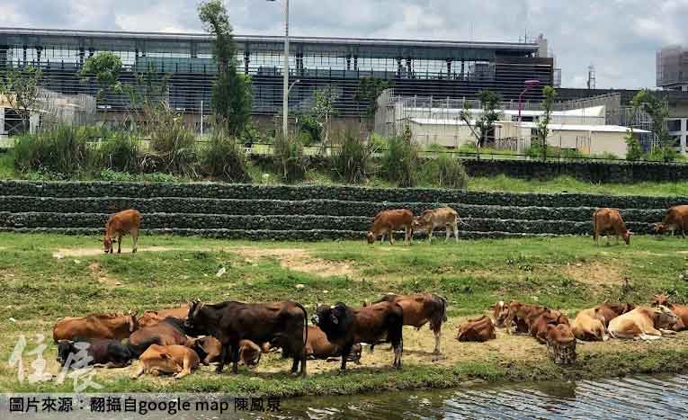 住A10通勤北桃CP值高不高？ 網友歪樓：「愛牛朋友可買」