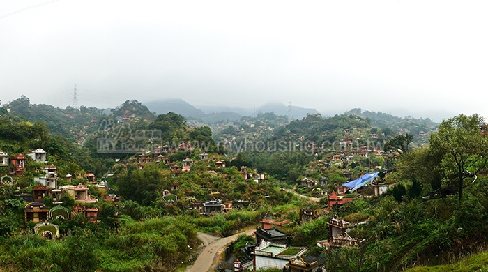 看的到買不到　中市府塔位挨批