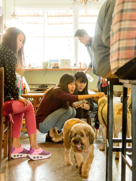 認養經濟 讓愛相遇