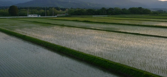祖傳宜蘭5.8甲地！建商喊收1坪10萬 竹科男不敢賣：怕被雷劈