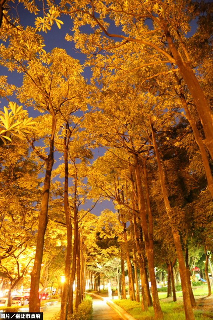 士林忠誠公園變身　柯P前往視察