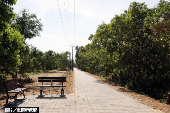 台南未來館基地 打造林間步道