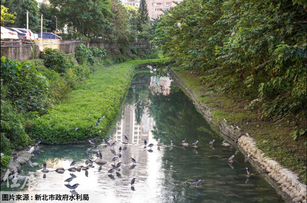 解決30年惡臭 新北中和瓦磘溝整治增設抽水機 除臭又防汛