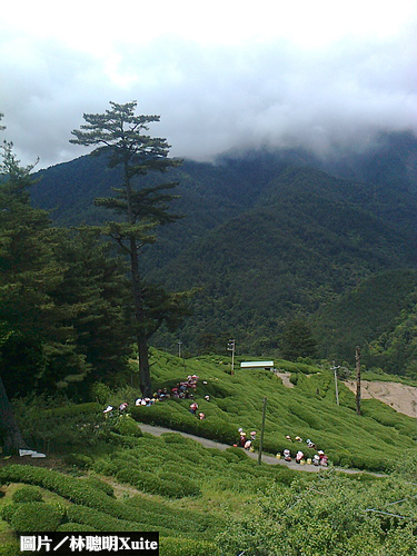 違法租國有地　業者申請文景解套