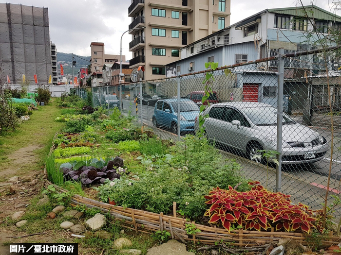 北投奇岩社區活化荒地 打造綠地沃田