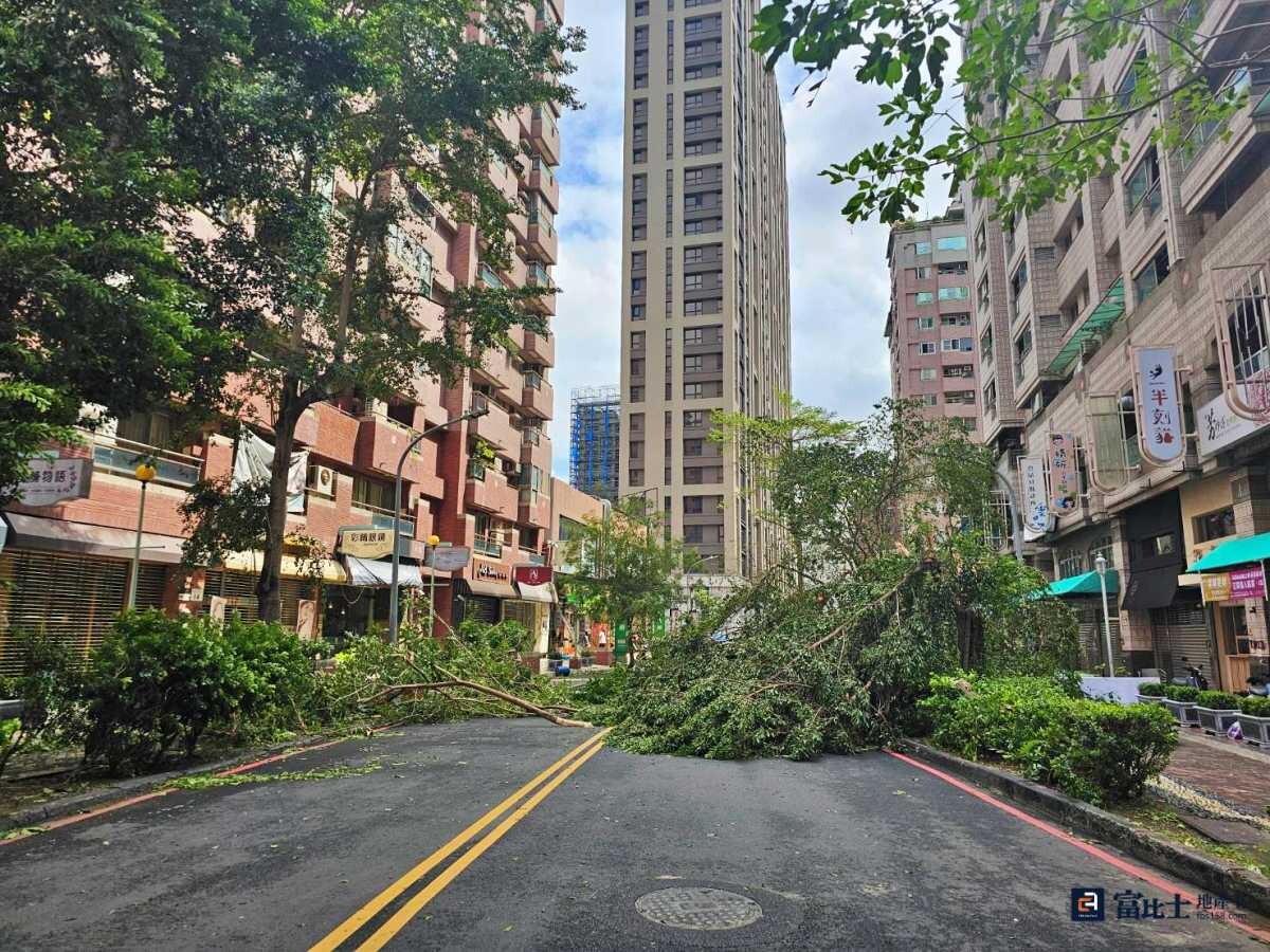 極端氣候將帶來無法用過去慣例判斷的氣候變化，此次高雄受到強風重襲，路樹倒塌導致交通受阻、民宅損毀的狀況相當多。（圖／記者蘇茵慧）