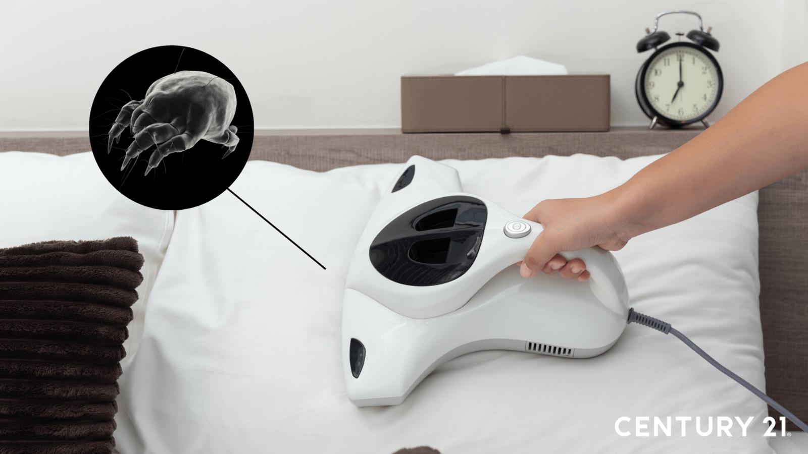 在有效除濕的情況下，塵蟎的情況也會改善許多。（圖片來源_21世紀不動產