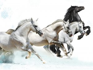 快篩業績奔馳股