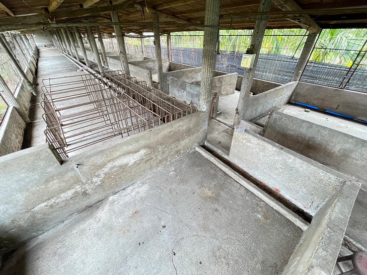 屏東豬舍開價538萬被秒殺！ 專家揭「1關鍵」：超便宜