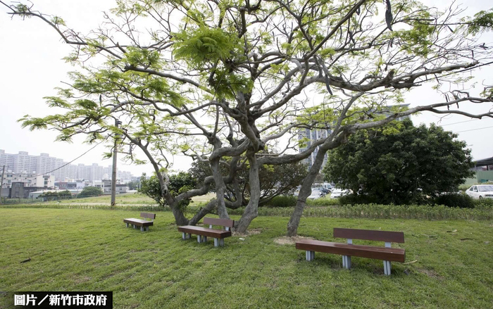 新竹市掀綠計畫 樹林頭公園啟用